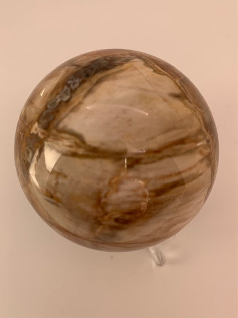 PETRIFIED WOOD SPHERE FOSSILISED WOOD